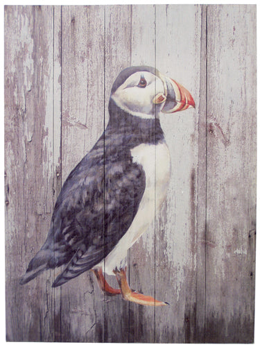 Tryk på træ med Søpapegøje ca. 25x33 cm – Trade Winds