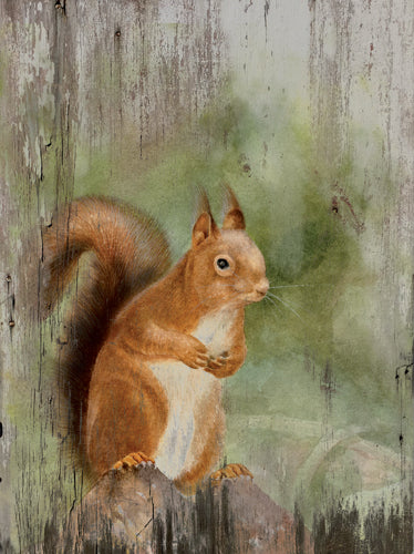 Tryk på træ med Egern ca. 25x33 cm – Trade Winds