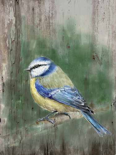 Tryk på træ med Blåmejse ca. 25x33 cm – Trade Winds