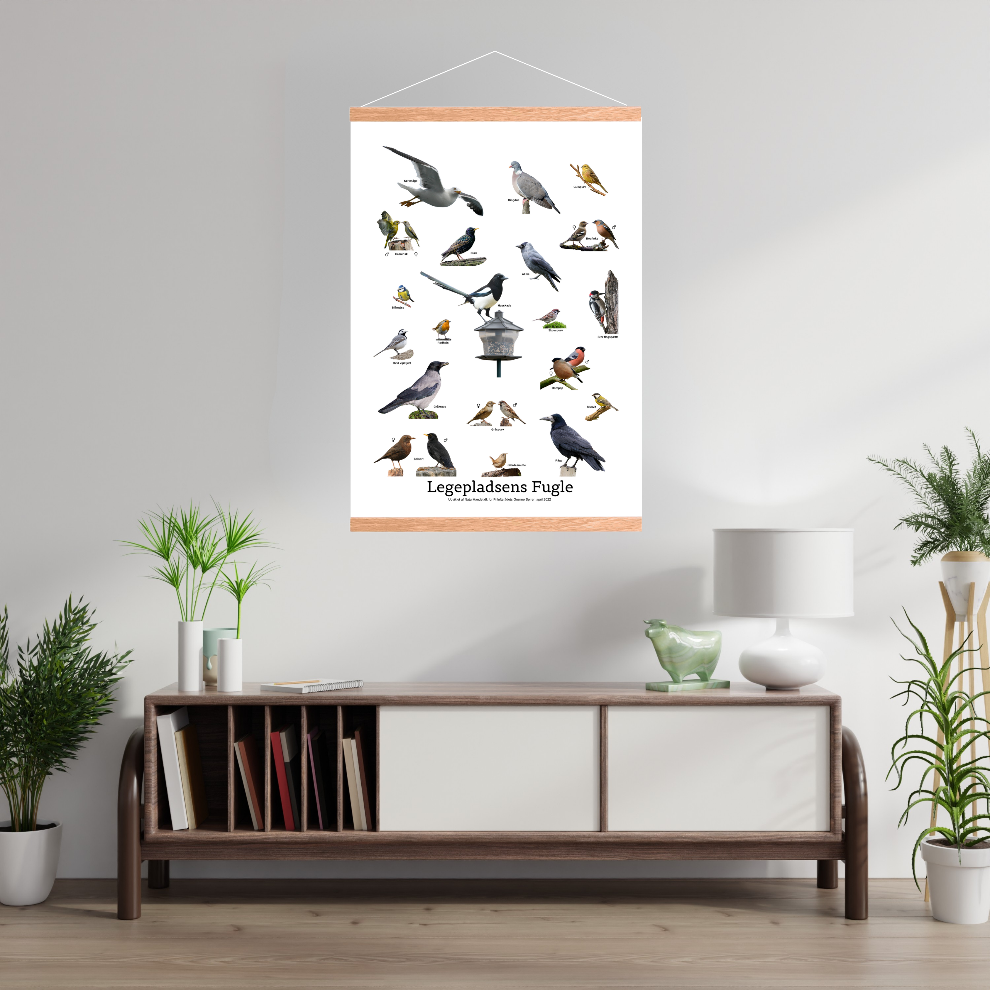 Legepladsens Fugle Plakat