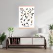 Havens Fugle Plakat