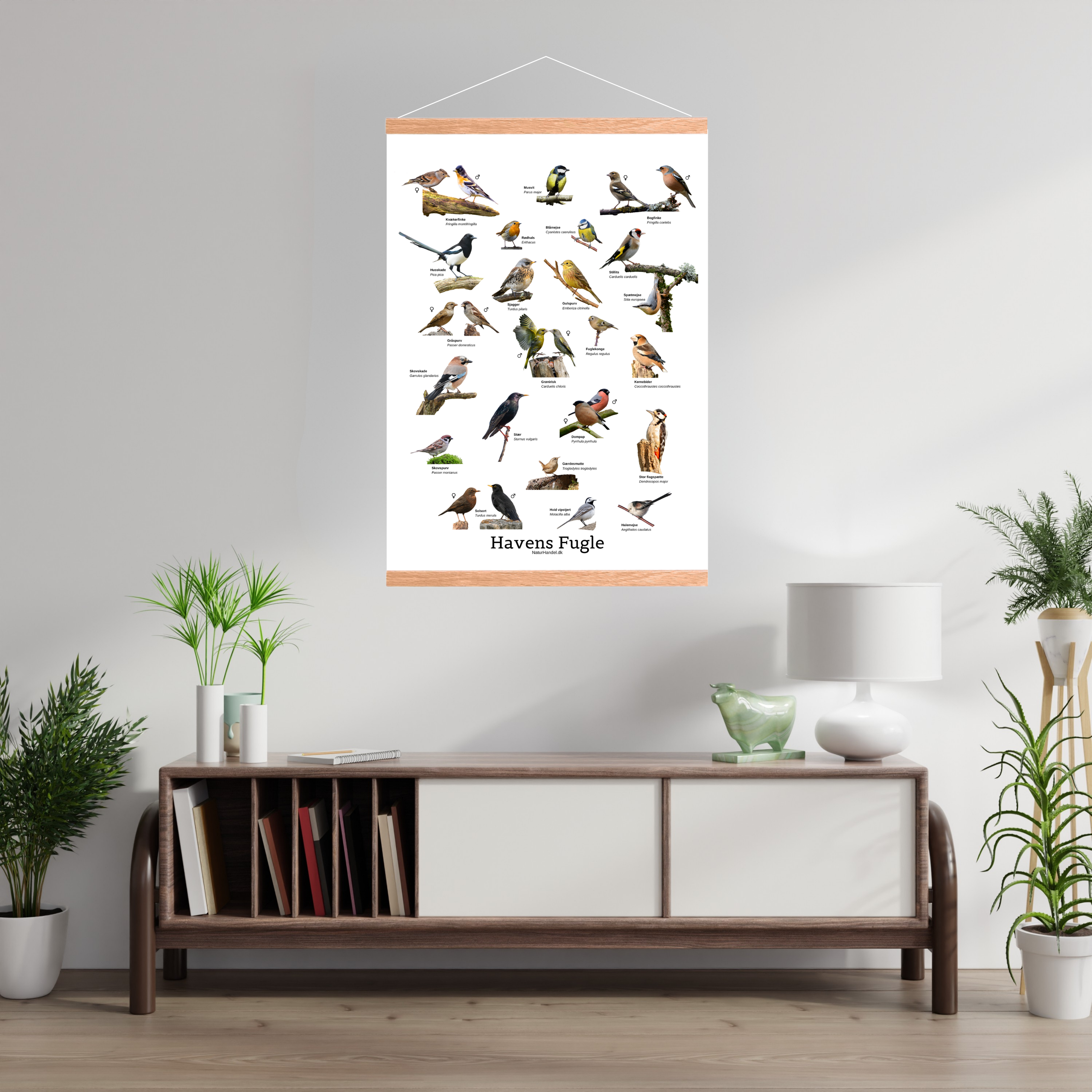 Havens Fugle Plakat