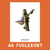 SPÆTMEJSE A6 FUGLEKORT - PR. STK.