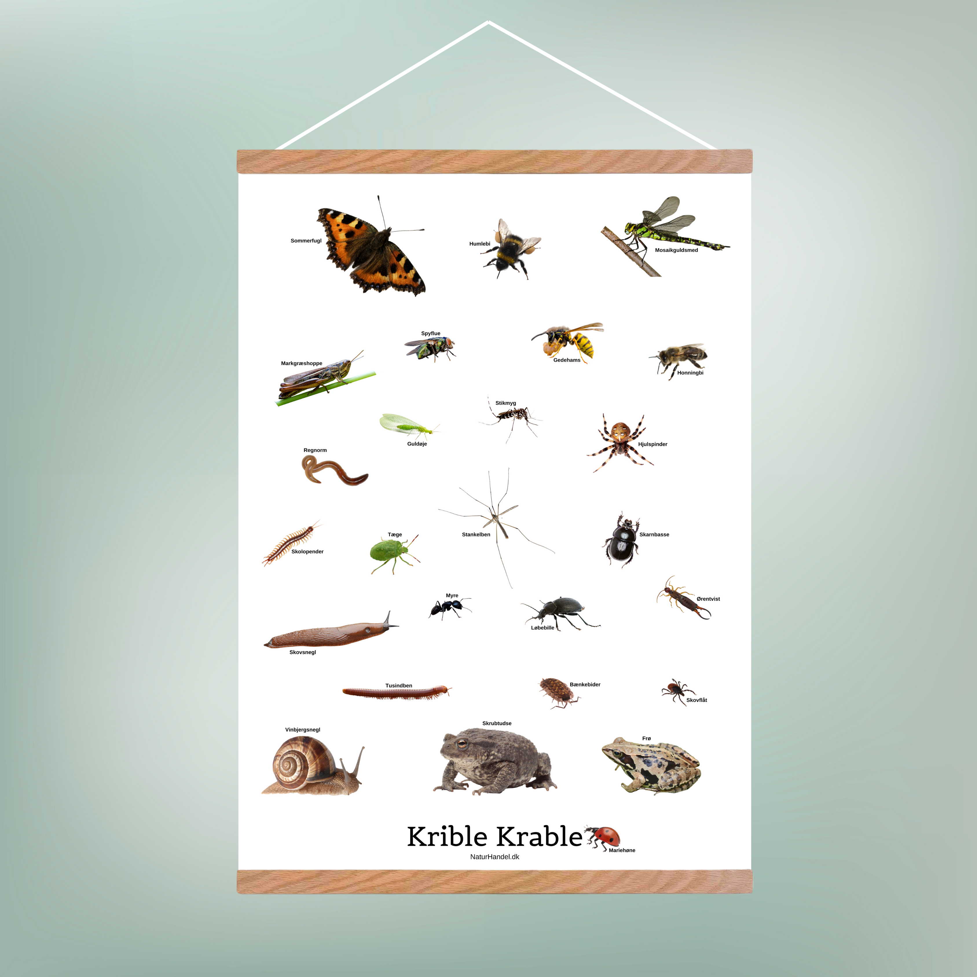 Krible Krable Plakat