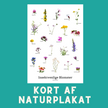 INSEKTVENLIGE BLOMSTER A6 KORT