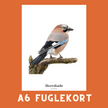 SKOVSKADE A6 FUGLEKORT - PR. STK.