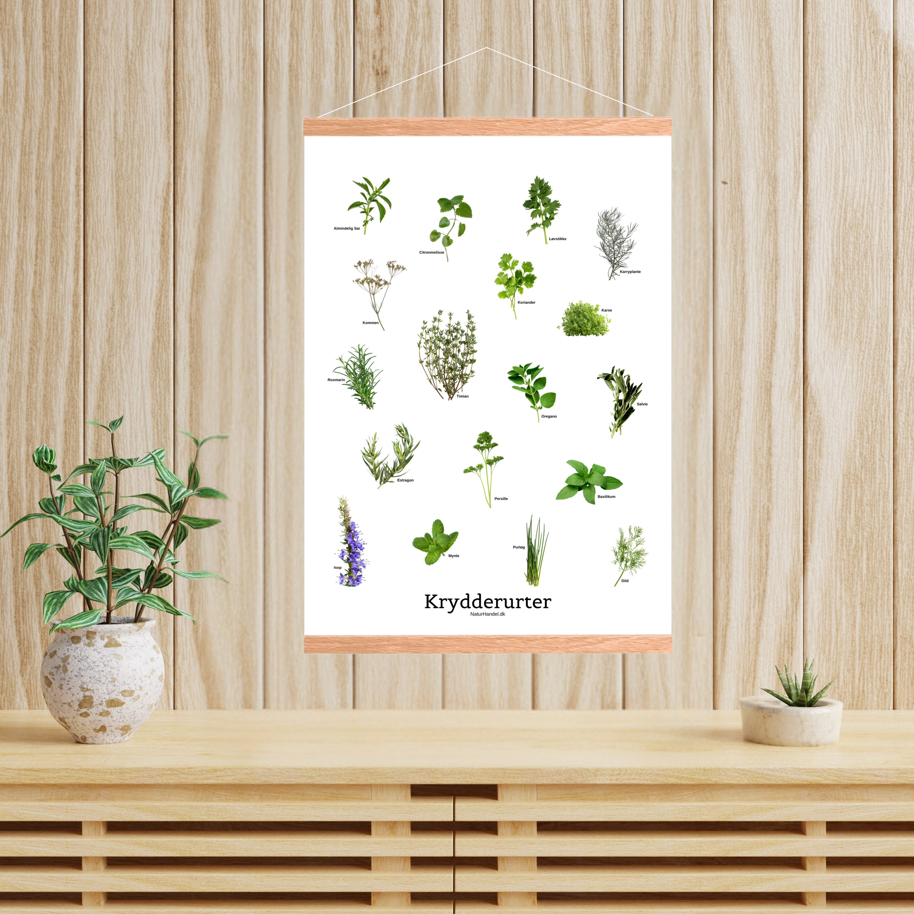 Krydderurter Plakat