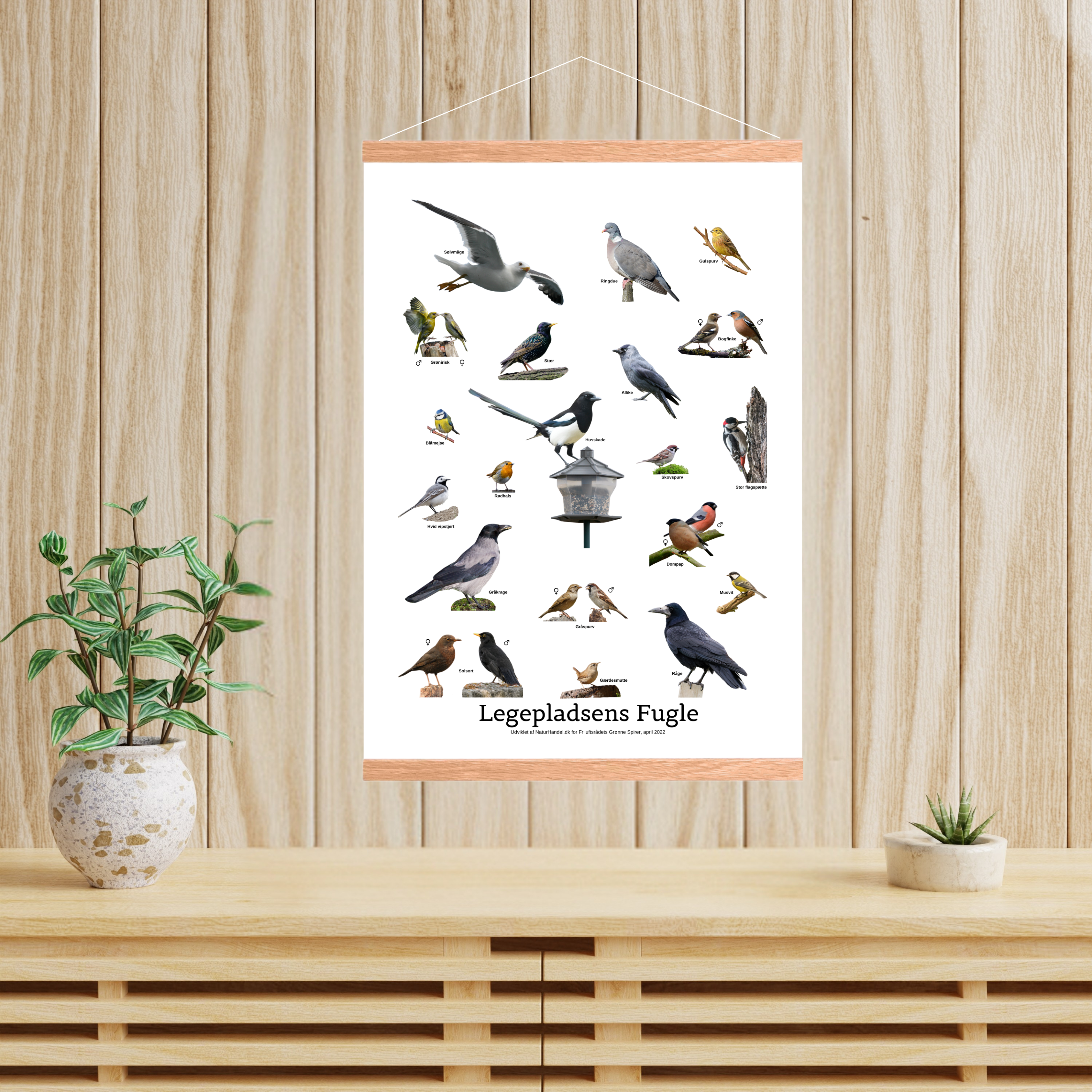 Legepladsens Fugle Plakat