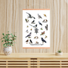 Legepladsens Fugle Plakat