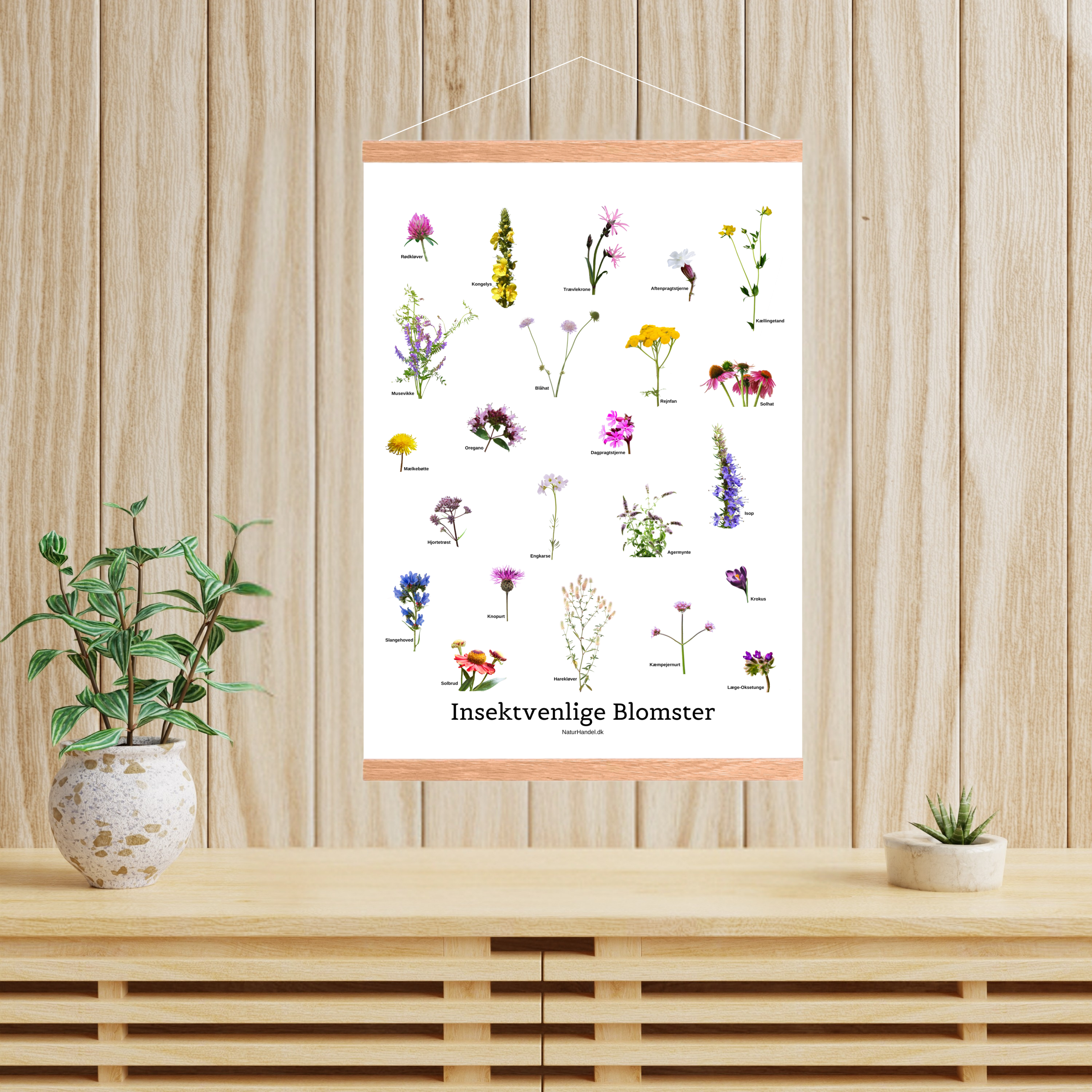 Insektvenlige Blomster Plakat
