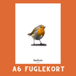 RØDHALS A6 FUGLEKORT - PR. STK.