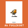 RØDHALS A6 FUGLEKORT - PR. STK.