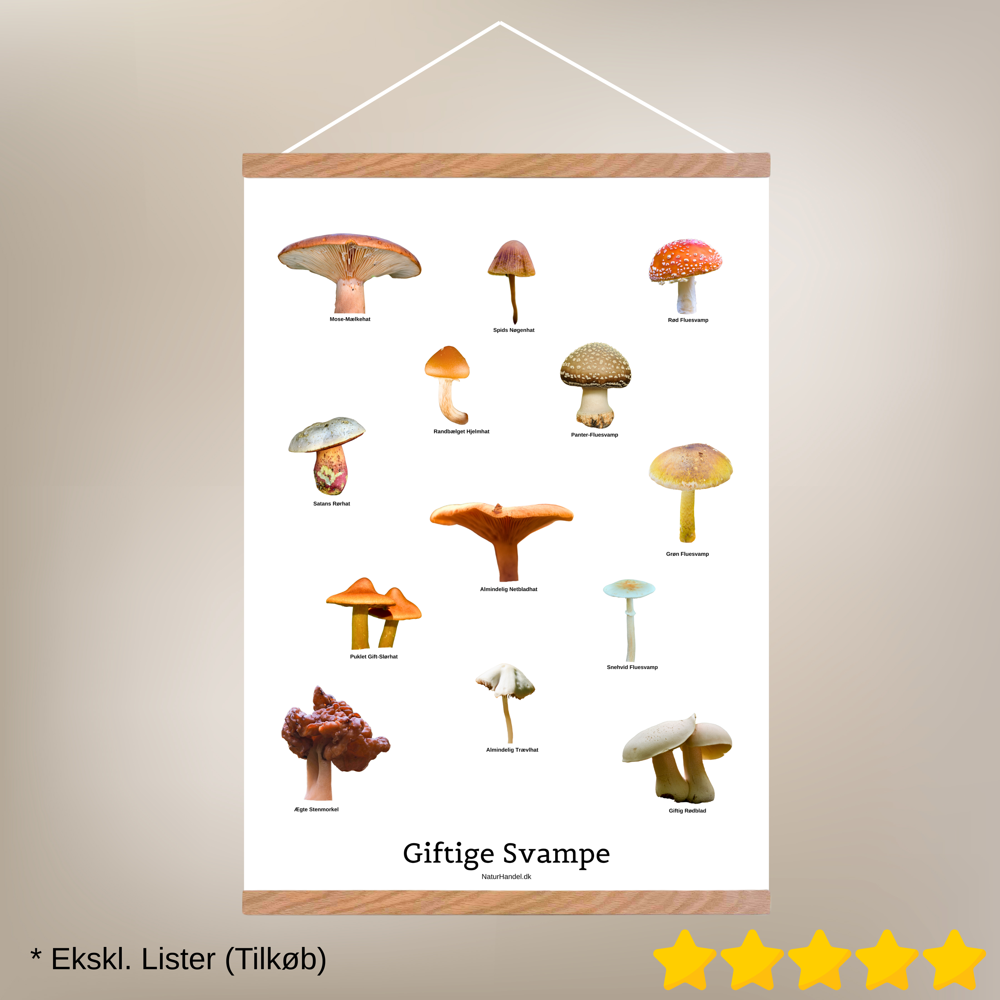 Giftige Svampe Plakat