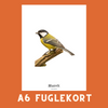 MUSVIT A6 FUGLEKORT - PR. STK.
