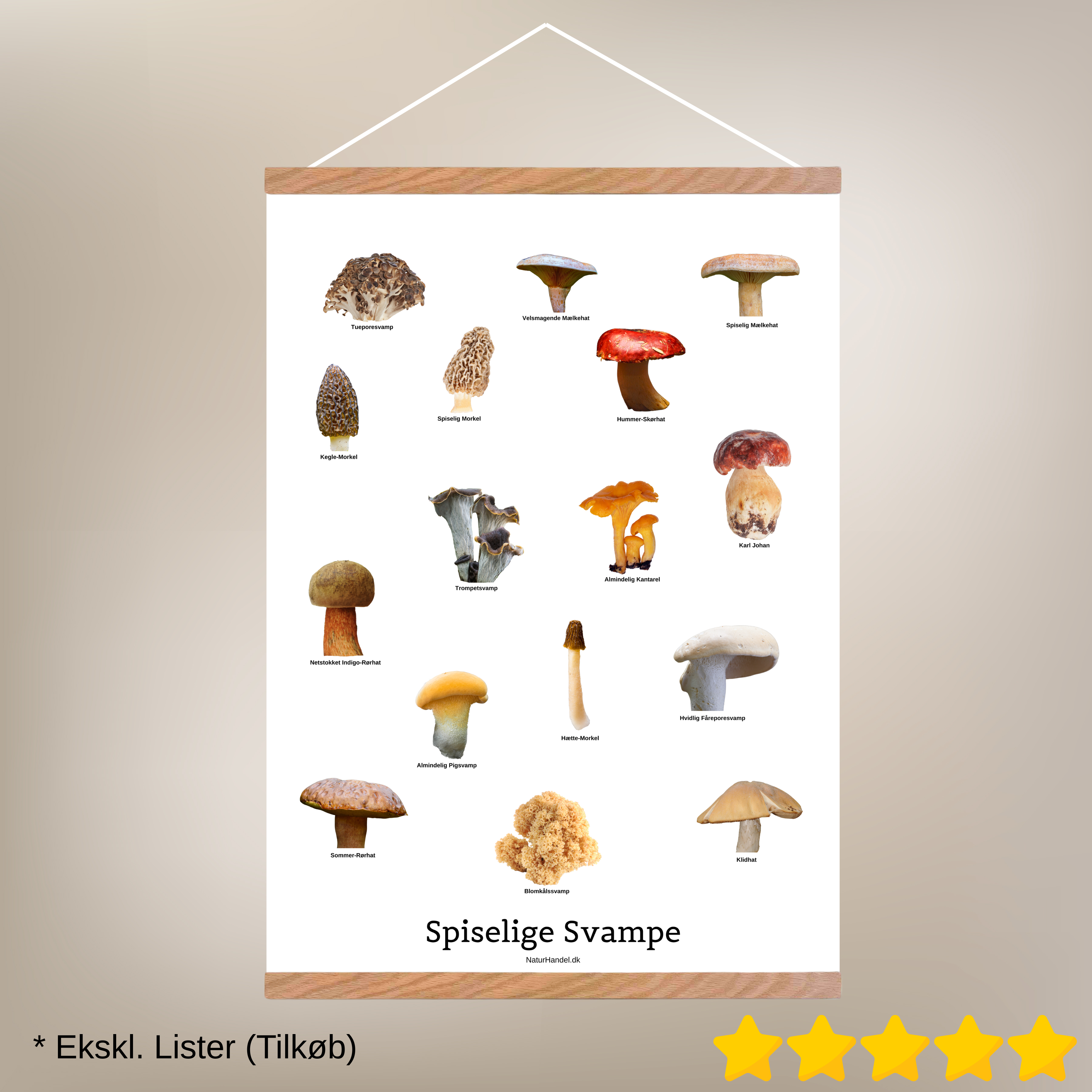 Spiselige Svampe Plakat