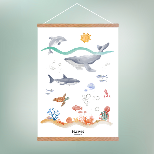 Havet Plakat - Børneplakat