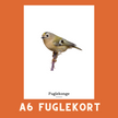 FUGLEKONGE A6 FUGLEKORT - PR. STK.