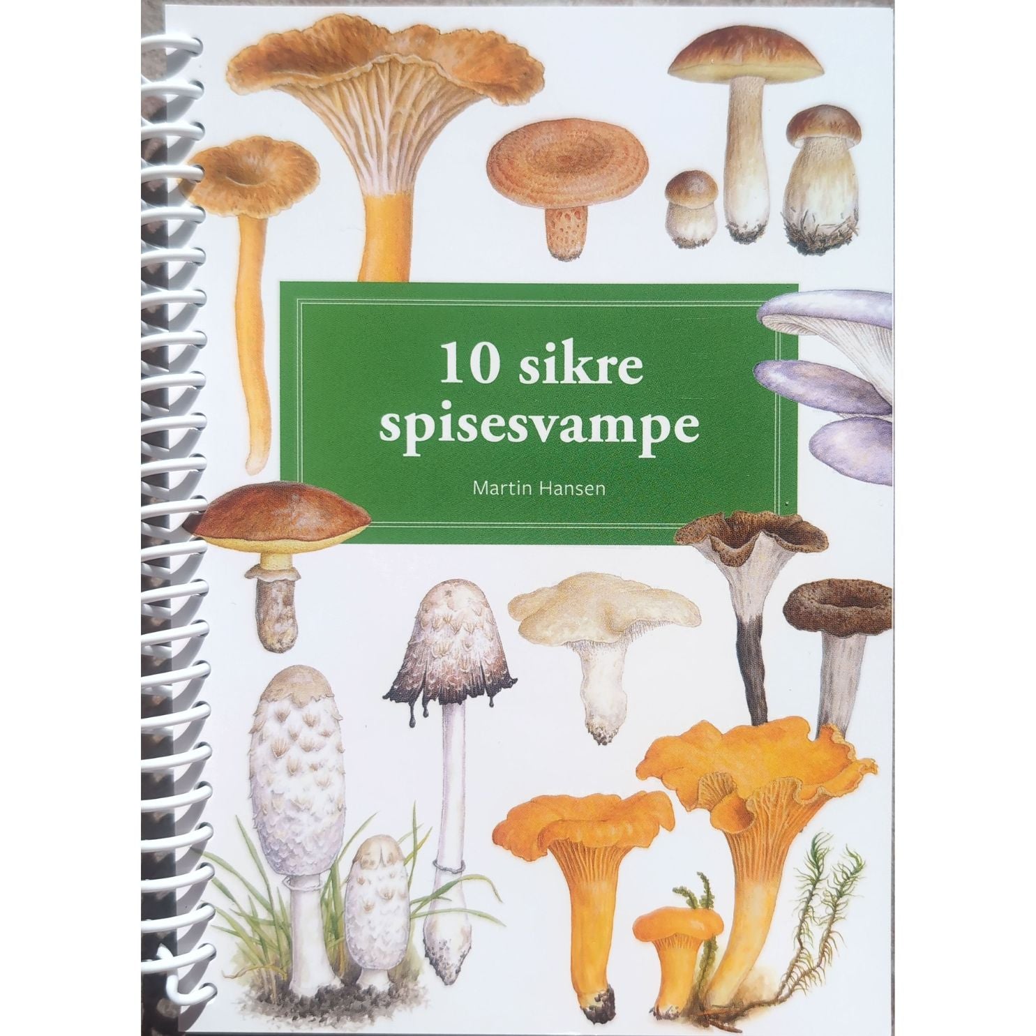 Lommeguide: 10 sikre spisesvampe