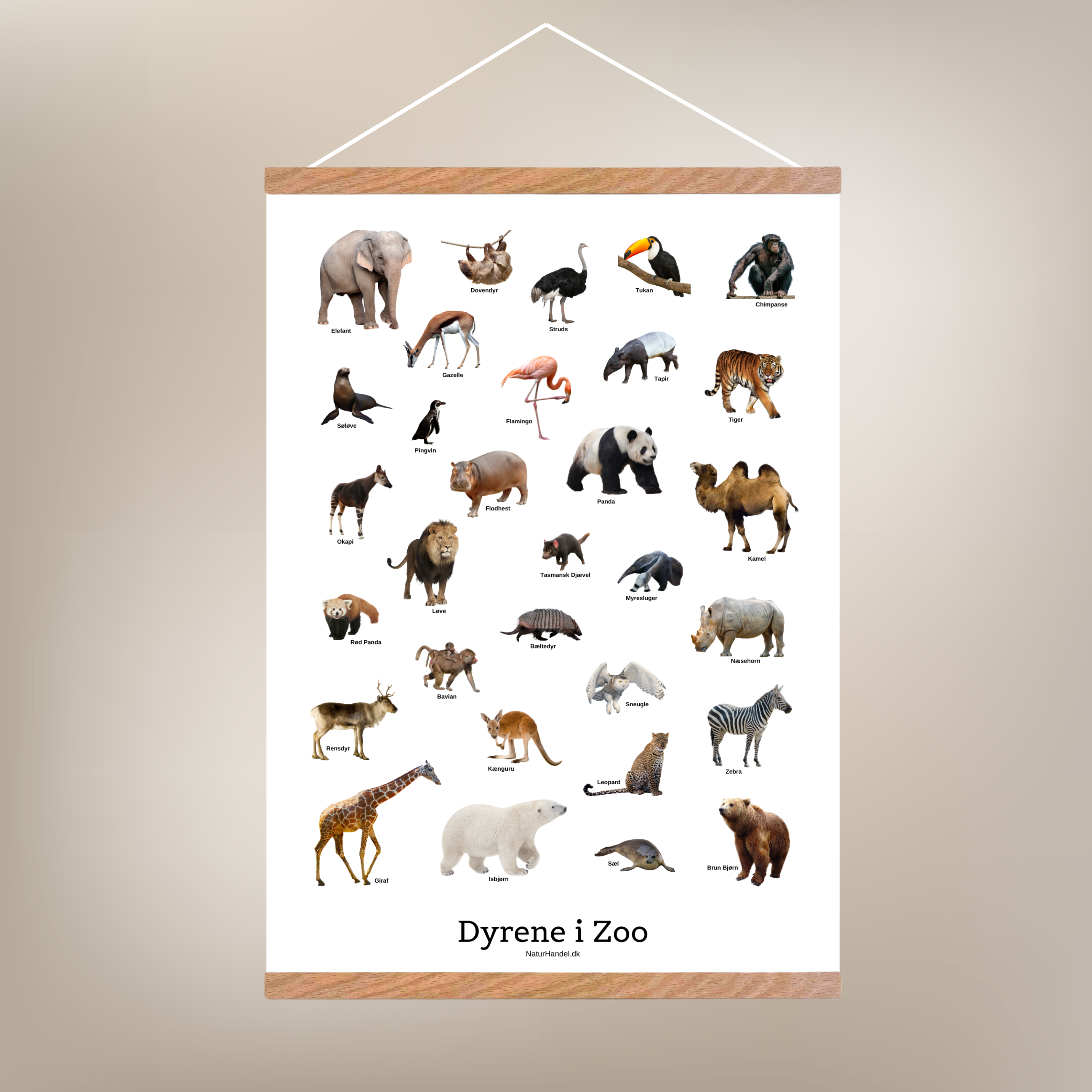 Dyrene I Zoo Plakat