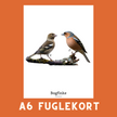 BOGFINKE A6 FUGLEKORT - PR. STK.