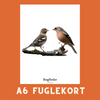 BOGFINKE A6 FUGLEKORT - PR. STK.