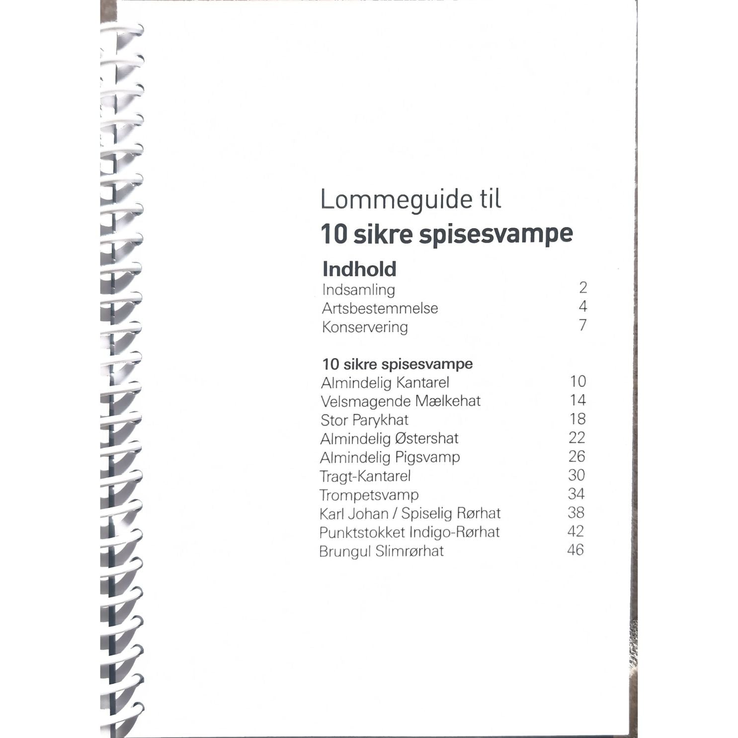 Lommeguide: 10 sikre spisesvampe
