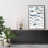 Hvalplakat 70x100