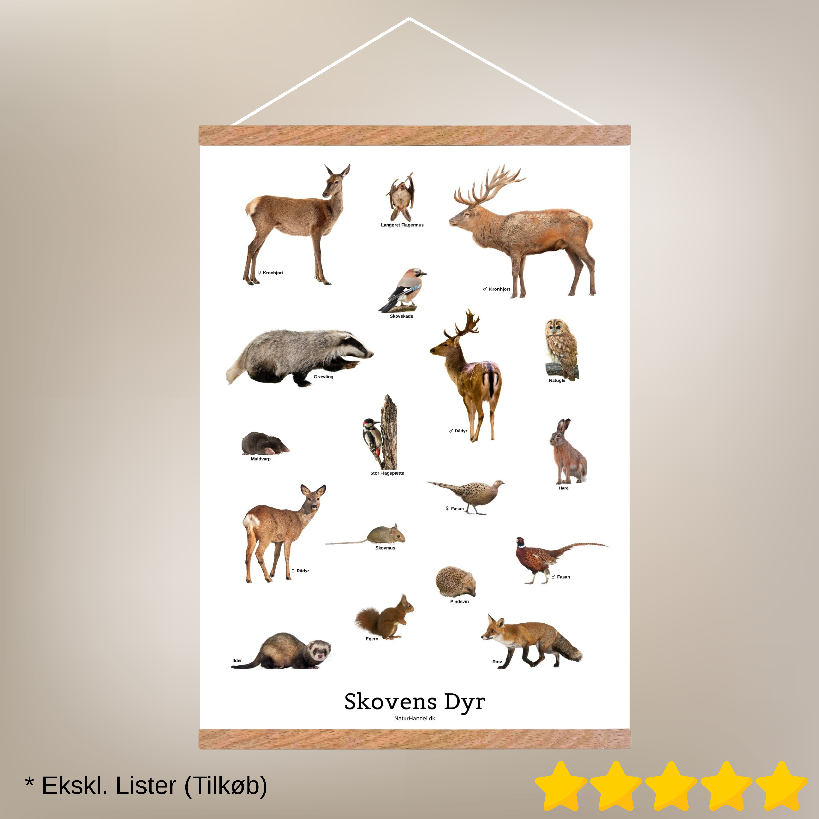 Skovens Dyr Plakat