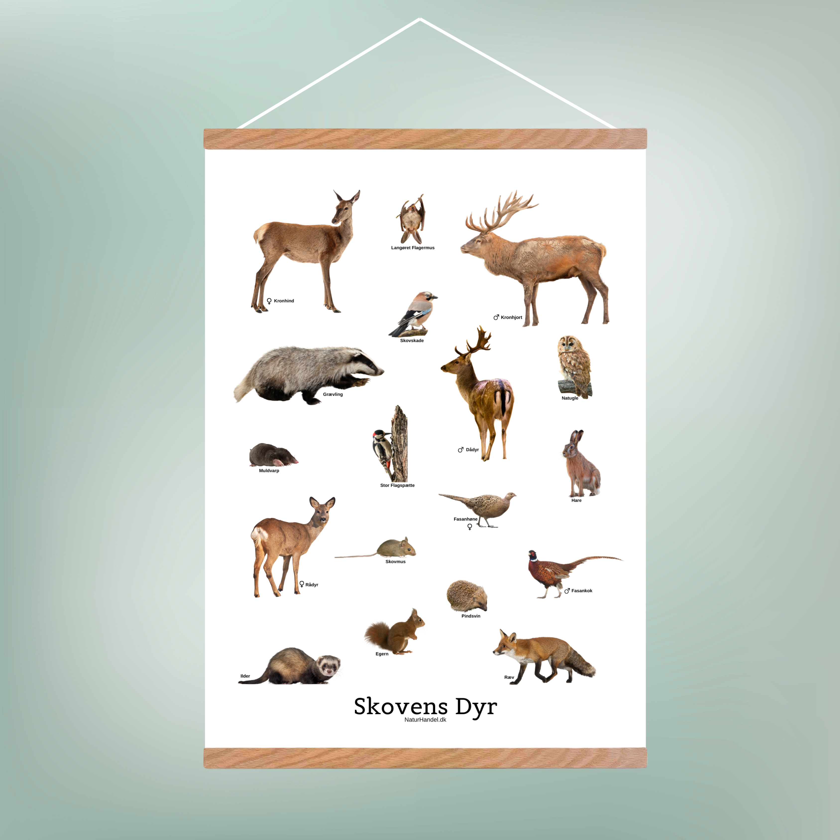 Skovens Dyr Plakat