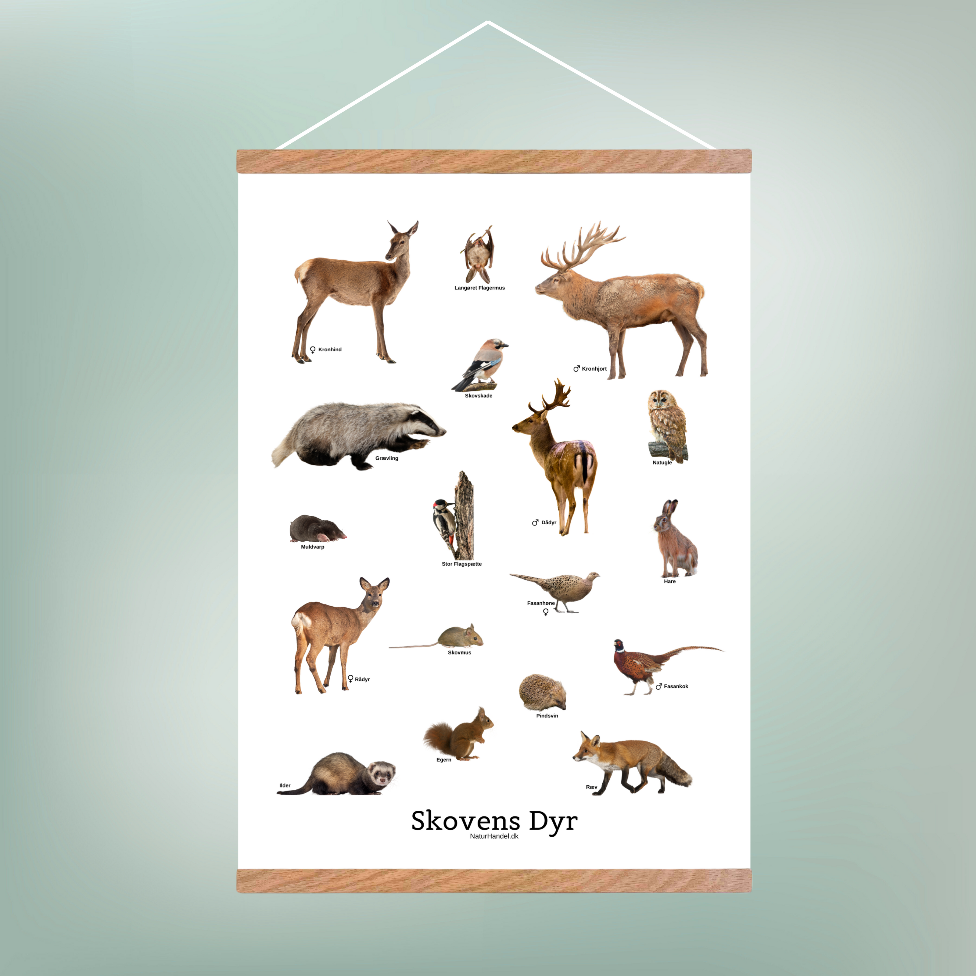 Skovens Dyr Plakat