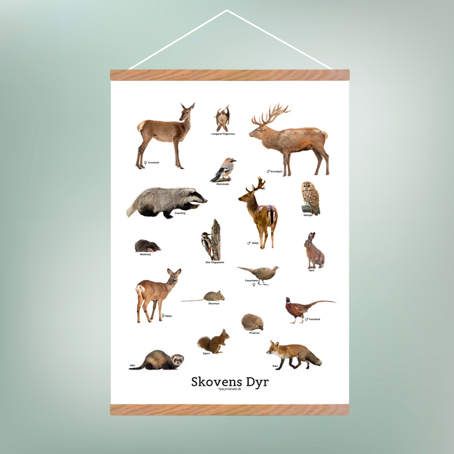 Skovens Dyr Plakat