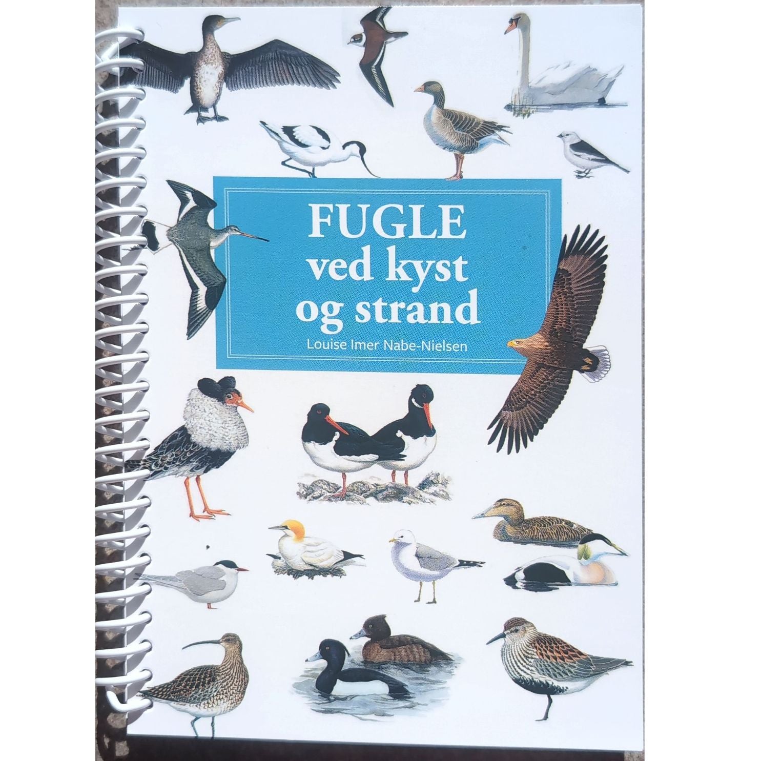 Lommeguide: Fugle ved kyst og strand