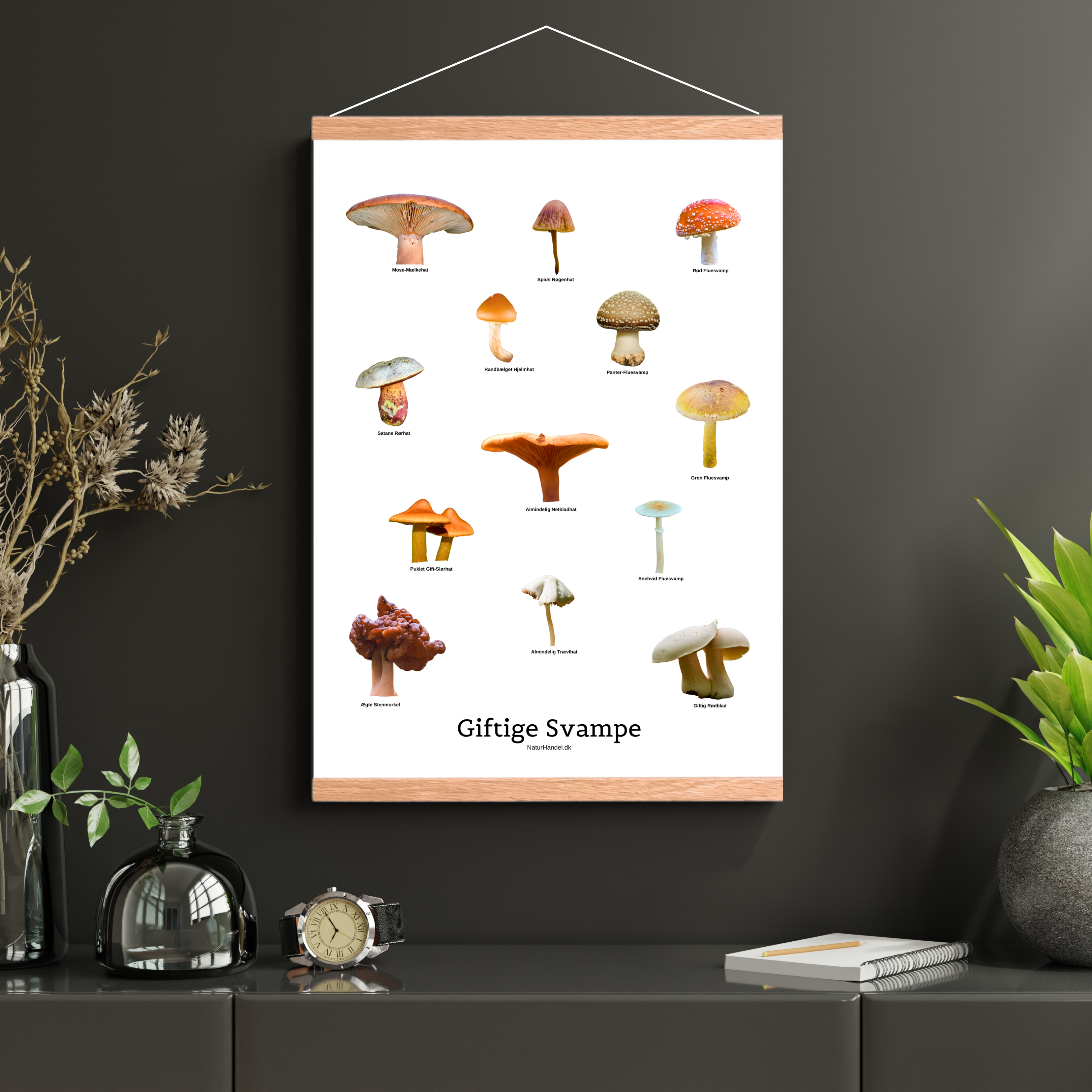 Giftige Svampe Plakat