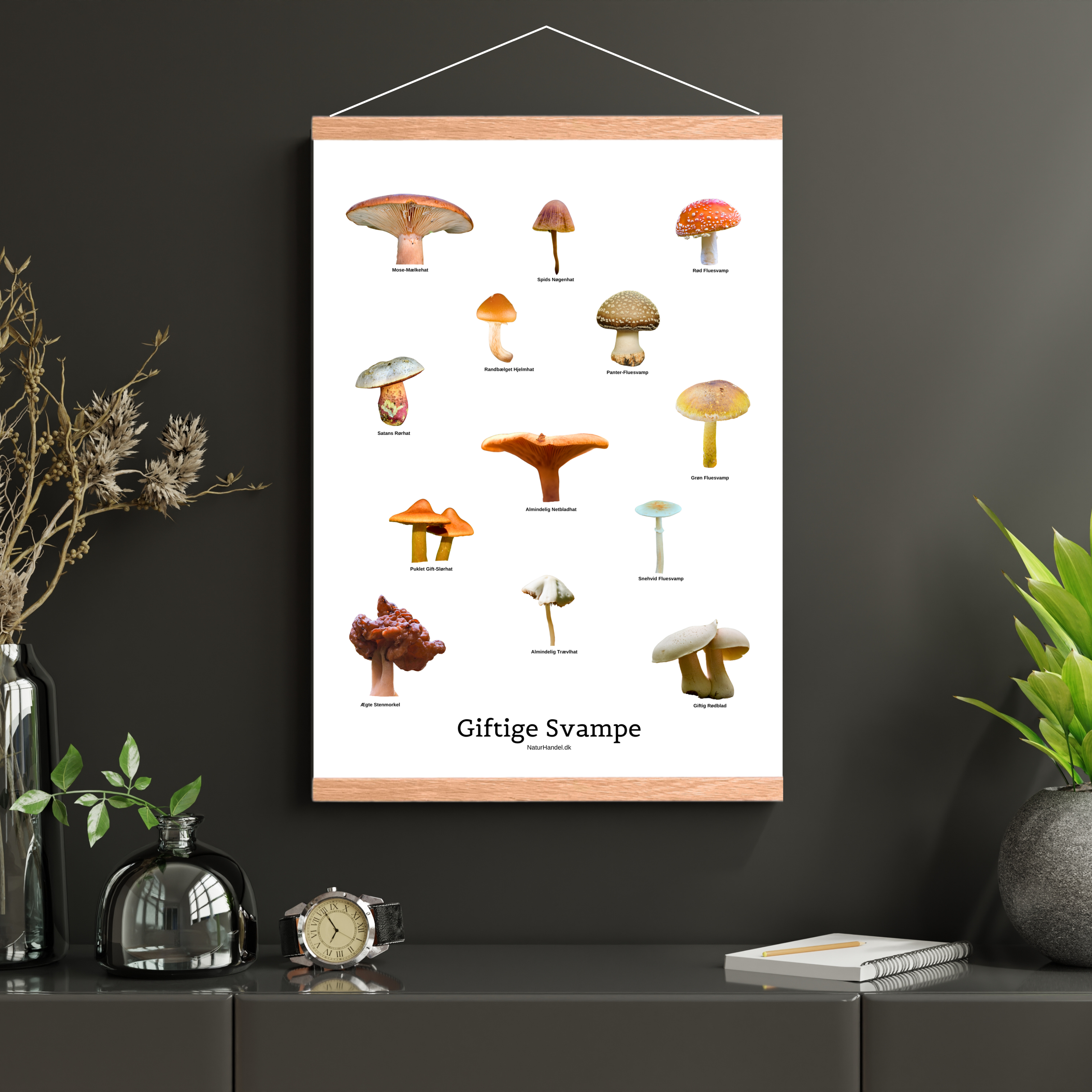 Giftige Svampe Plakat