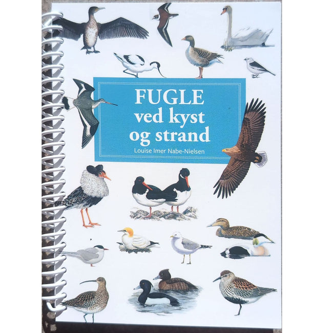 Lommeguide: Fugle ved kyst og strand