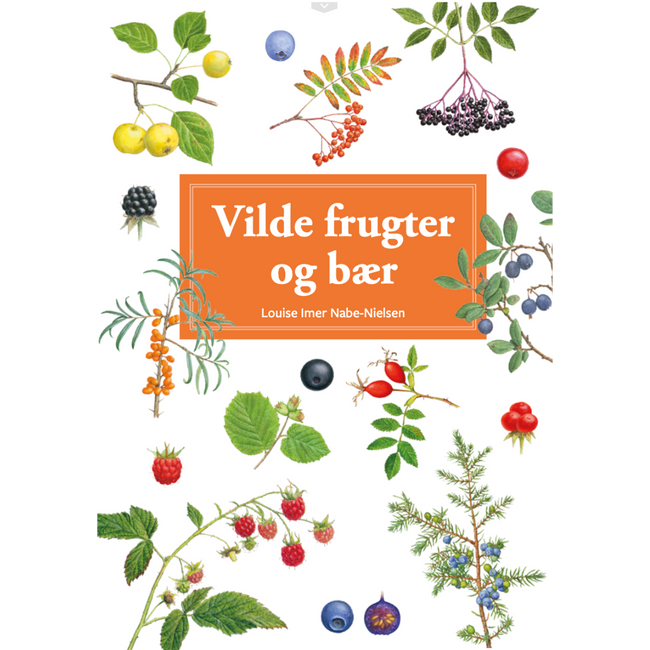 Lommeguide: Vilde frugter og bær