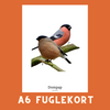 DOMPAP A6 FUGLEKORT - PR. STK.