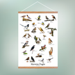 Havens Fugle Plakat