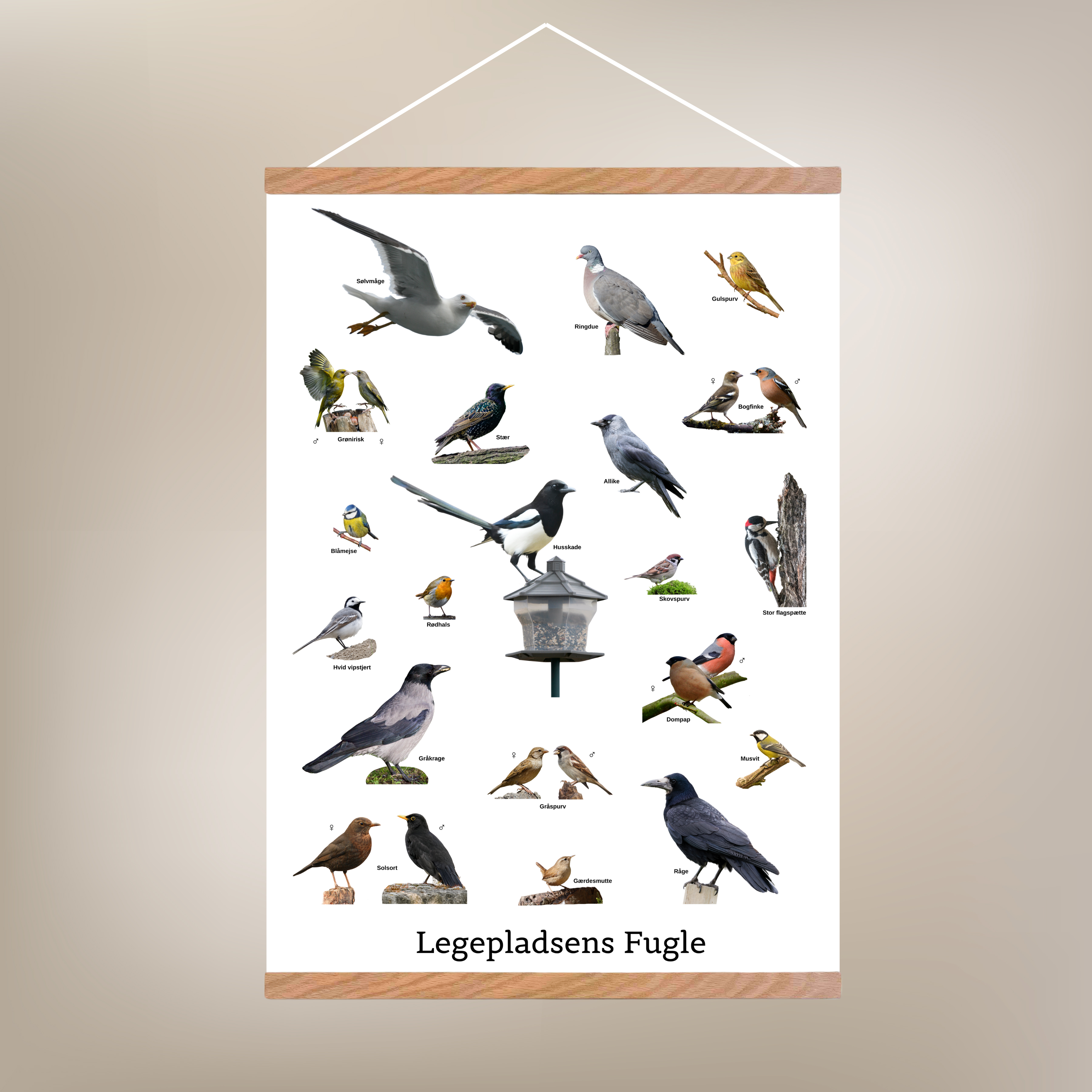 Legepladsens Fugle Plakat