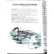 Lommeguide: Fugle ved kyst og strand