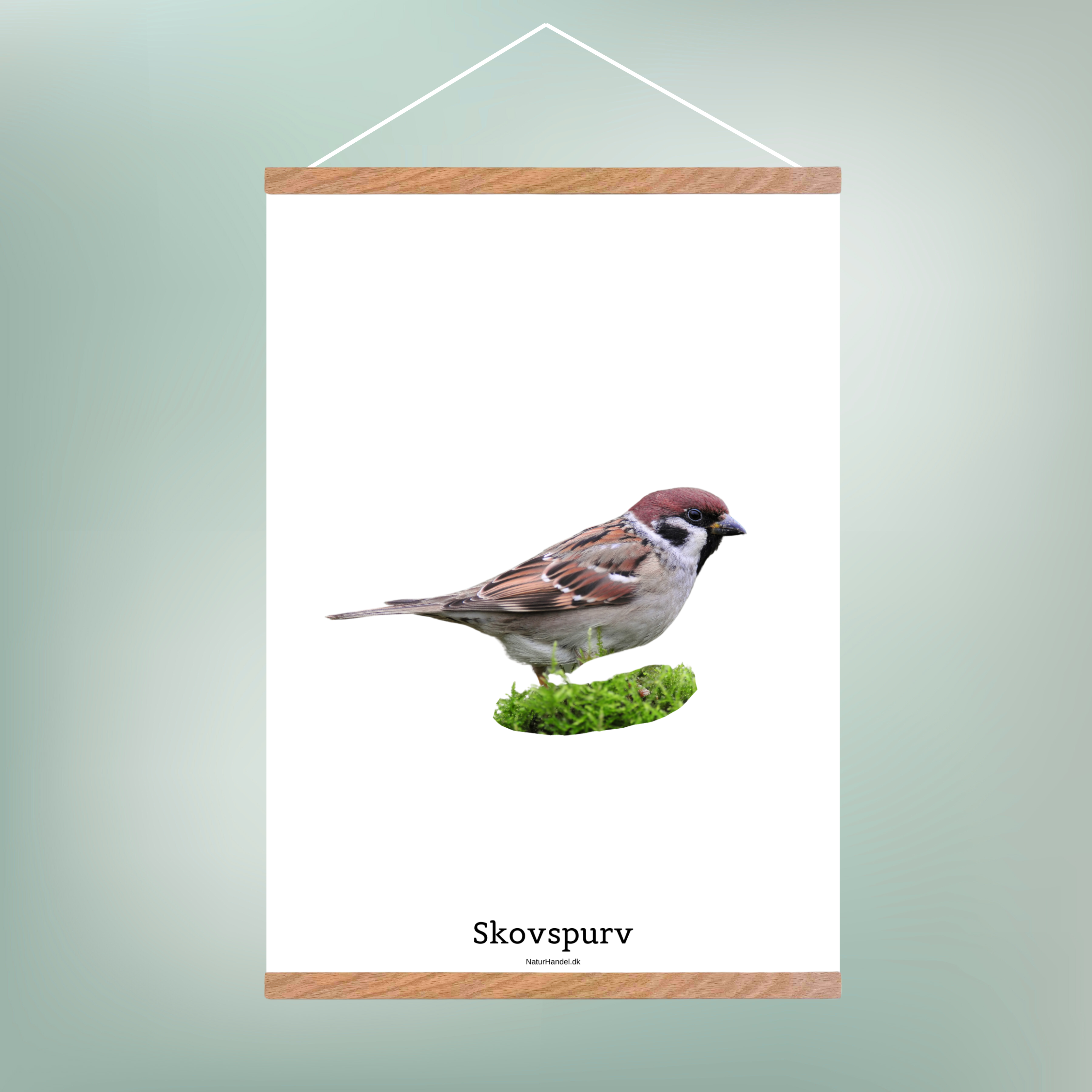 Skovspurv