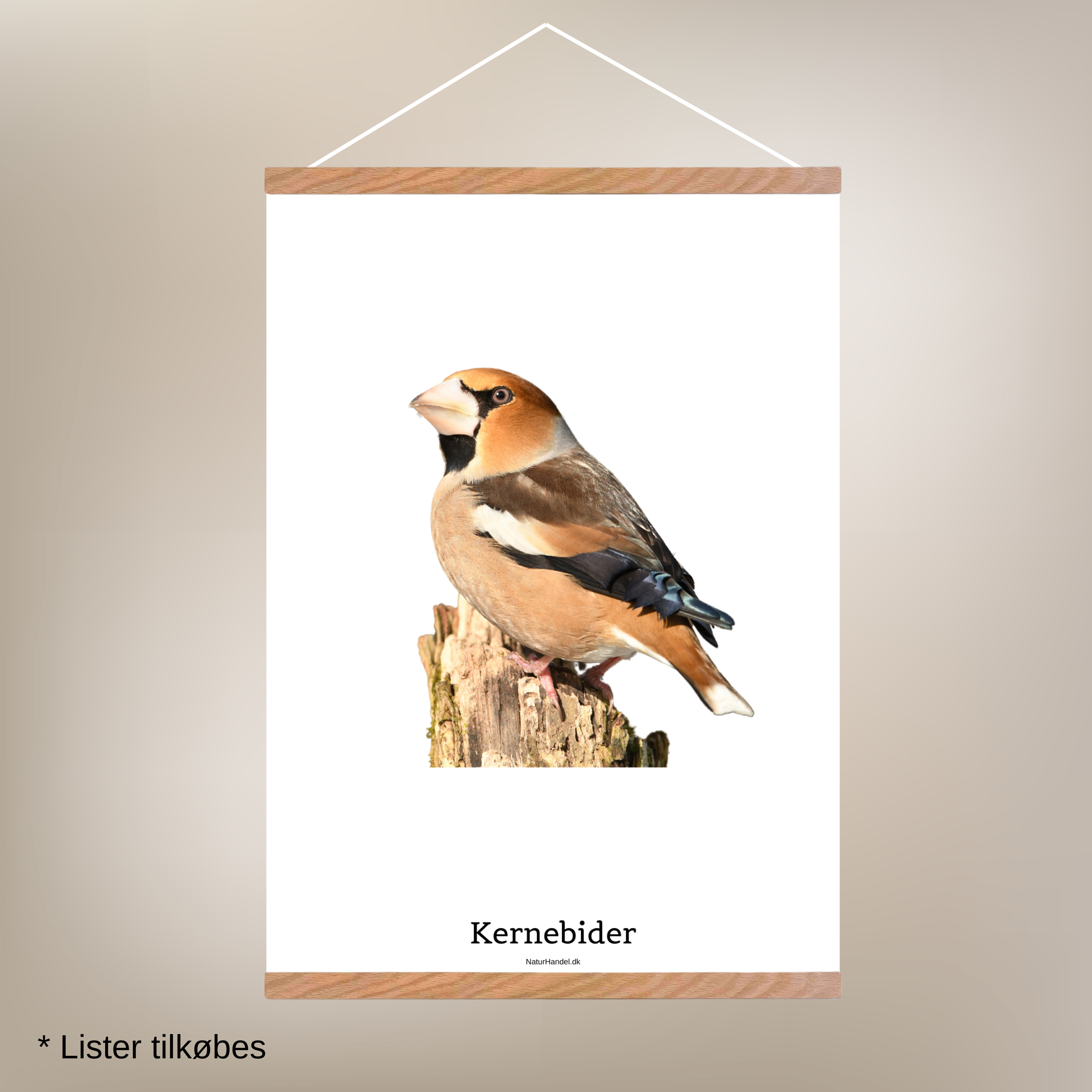 Kernebider