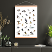 Byens Fugle Plakat