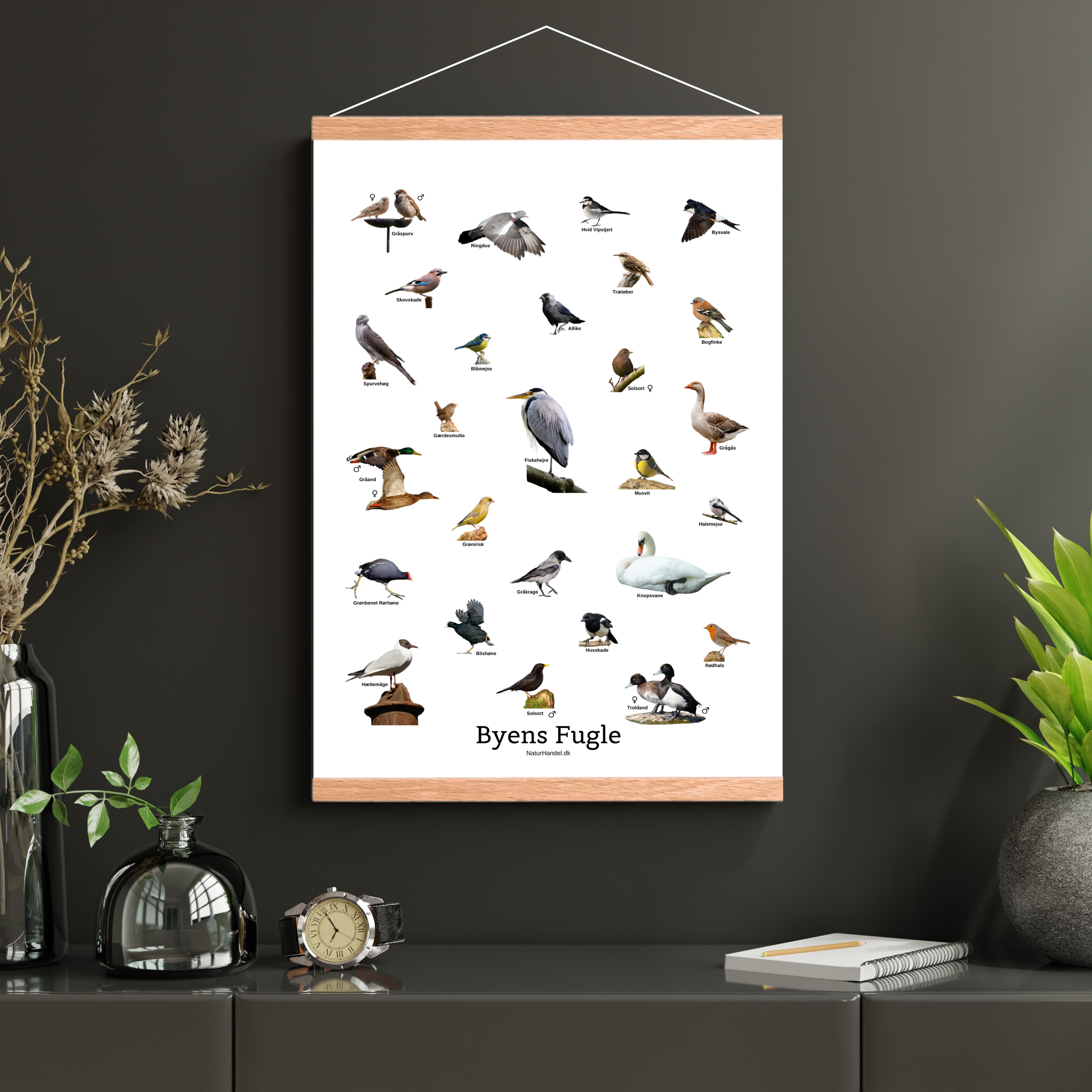 Byens Fugle Plakat
