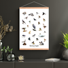 Byens Fugle Plakat