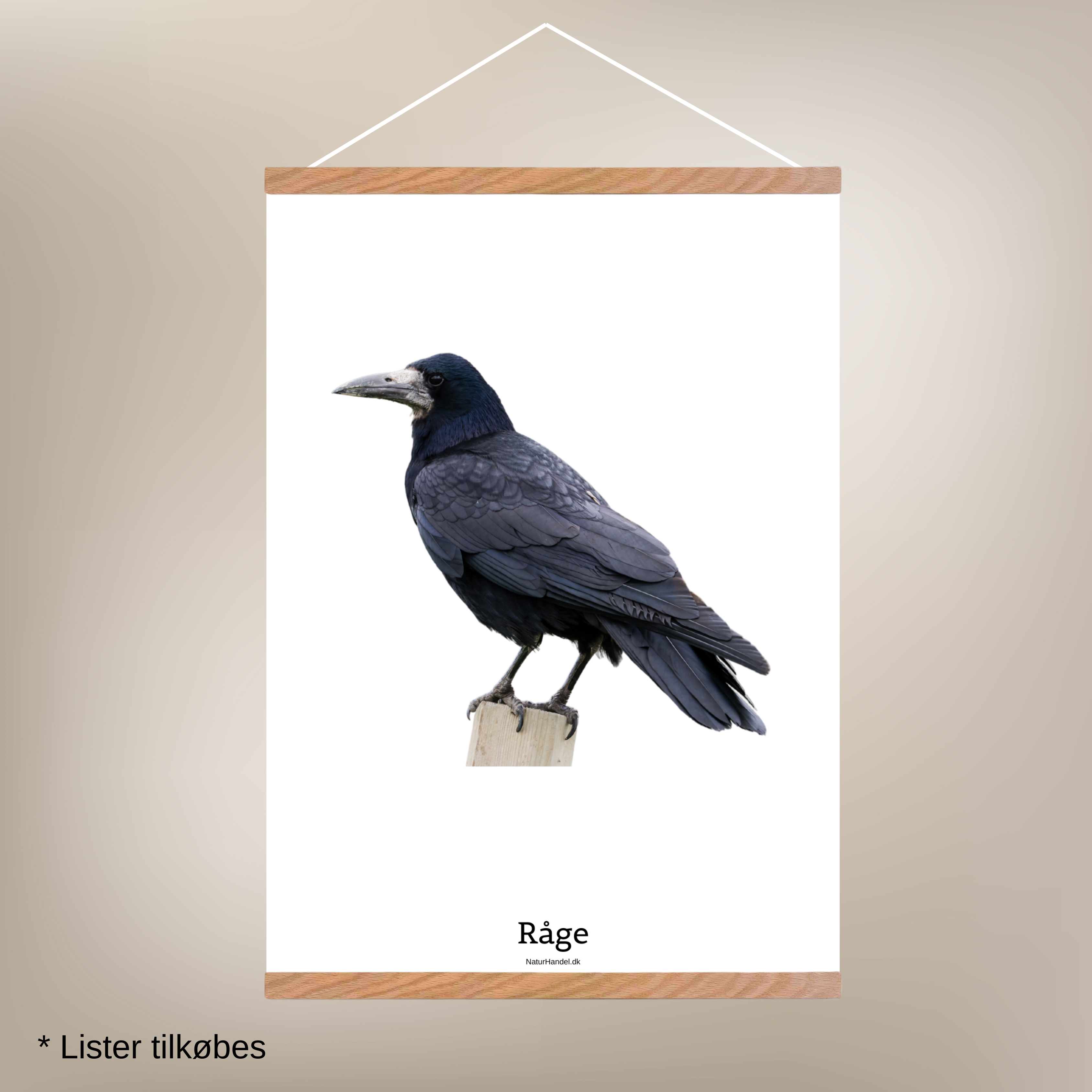 Råge