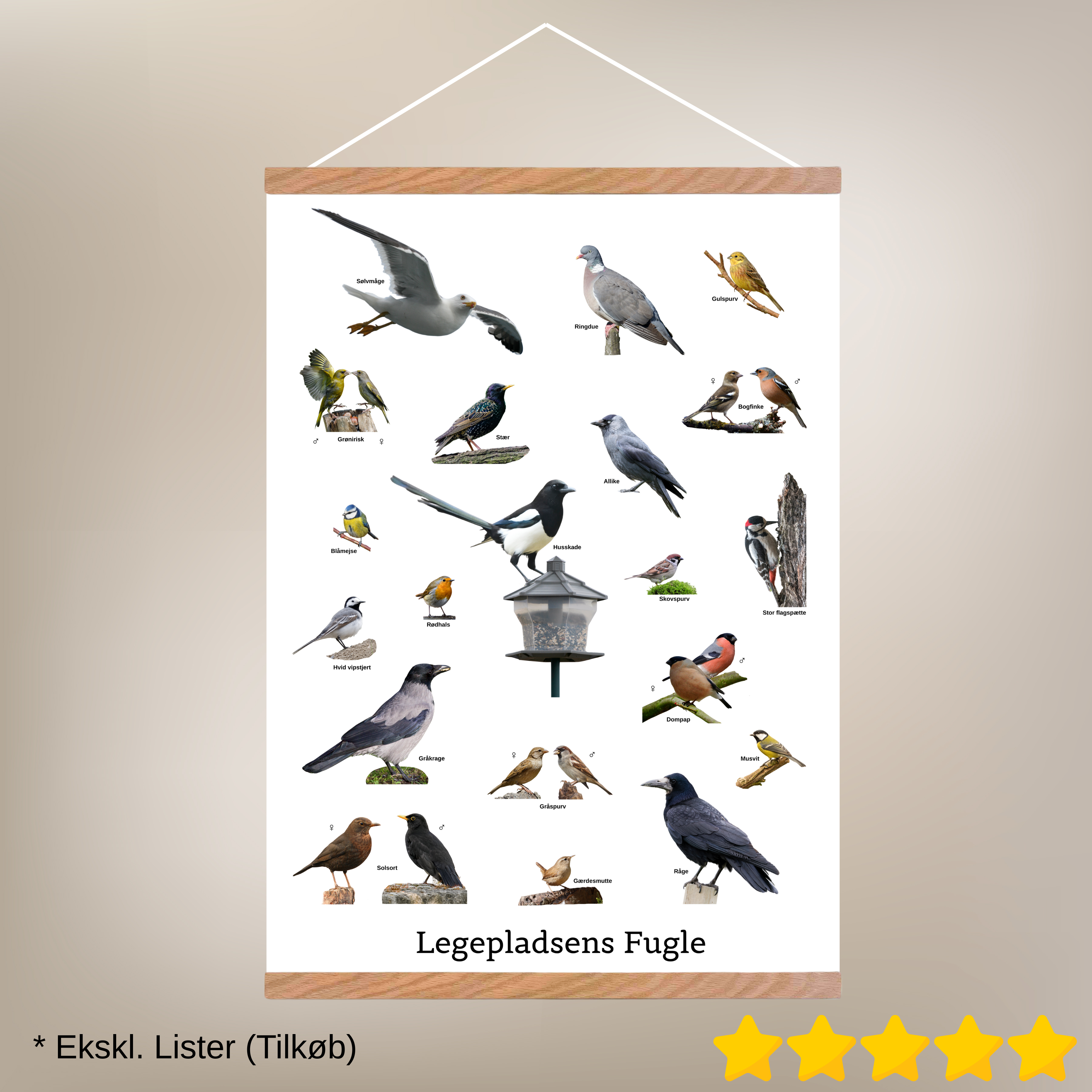 Legepladsens Fugle Plakat