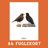 SOLSORT A6 FUGLEKORT - PR. STK.