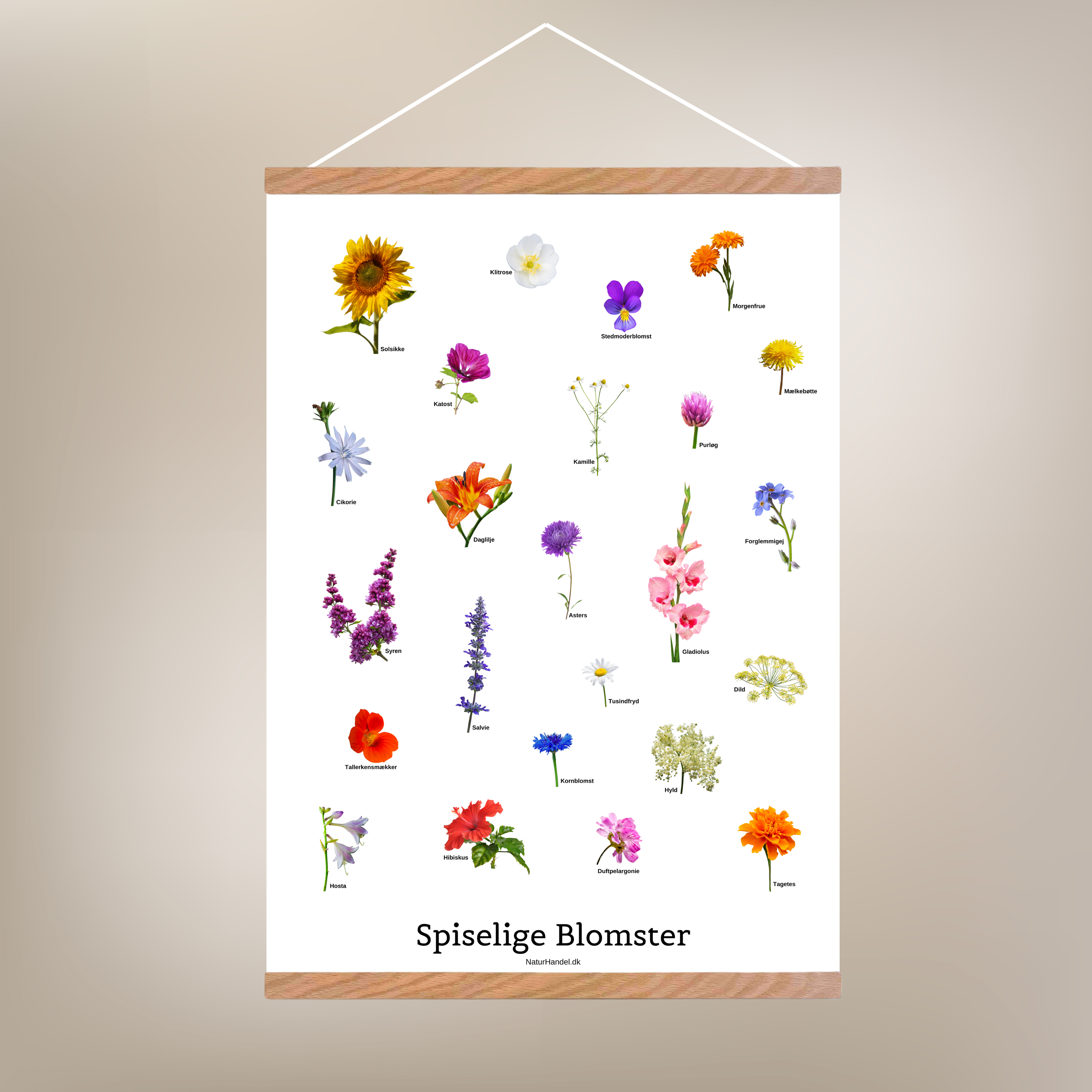 Spiselige Blomster Plakat m. fotos