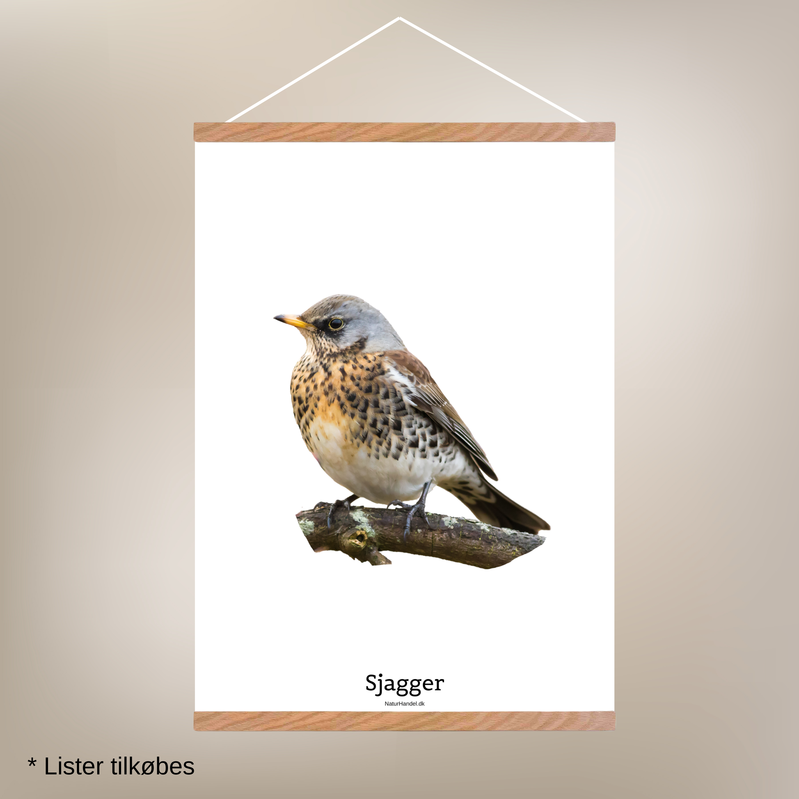 Sjagger